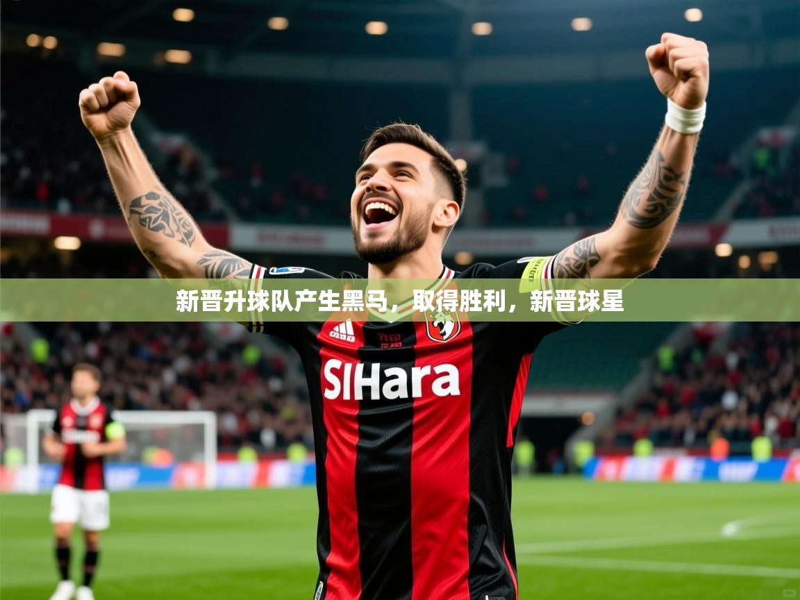 2025百家乐网站新晋升球队产生黑马,取得胜利,新晋球星 第2张