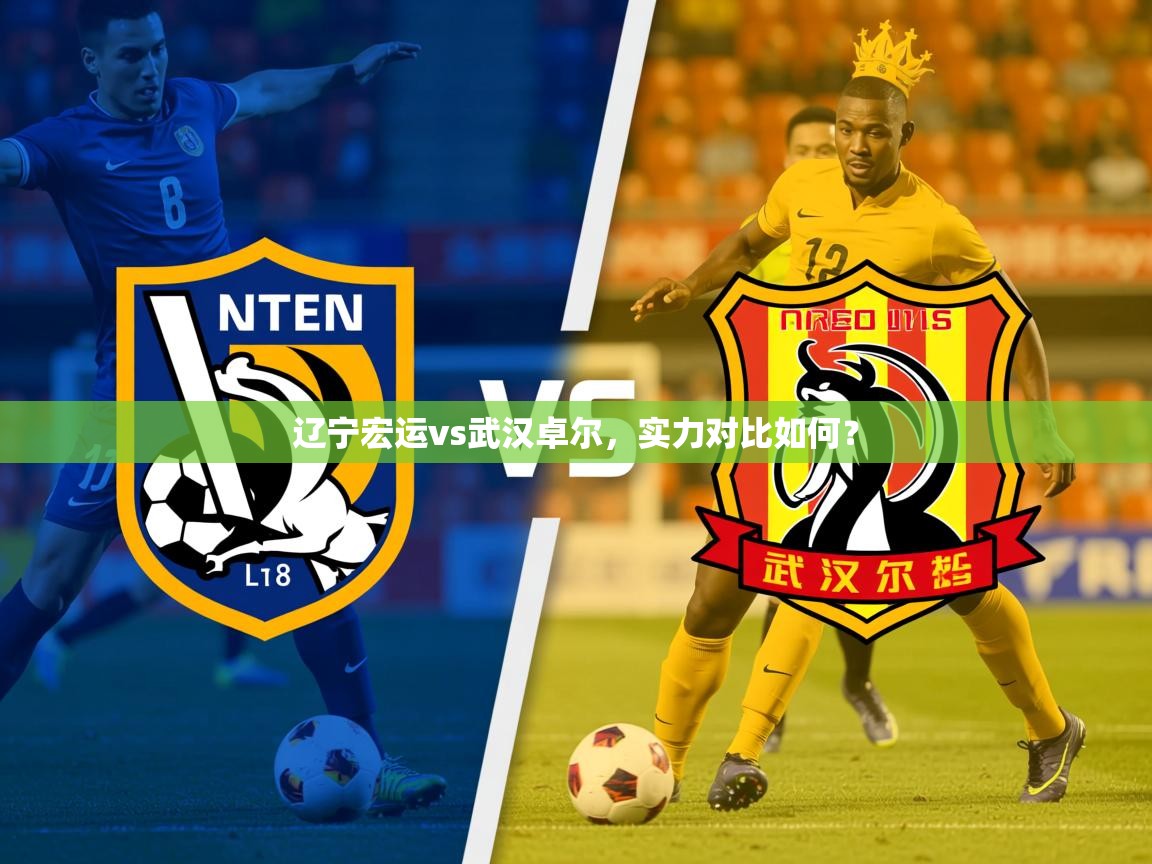 2026百家乐辽宁宏运vs武汉卓尔，实力对比如何？  第1张