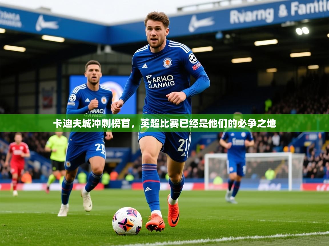 2026百家乐卡迪夫城冲刺榜首，英超比赛已经是他们的必争之地  第4张
